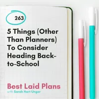 Best Laid Plans artwork