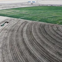 KQED's The California Report artwork