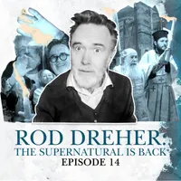 The Surprising Rebirth Of Belief In God artwork