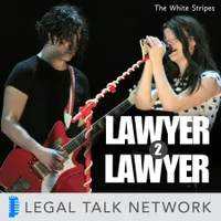 Lawyer 2 Lawyer artwork