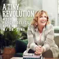 A Tiny Revolution artwork