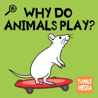 Tumble Science Podcast for Kids artwork