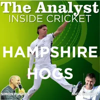 The Analyst Inside Cricket artwork