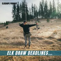 ElkShape artwork