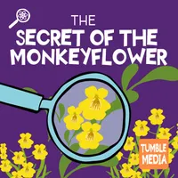 Tumble Science Podcast for Kids artwork