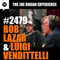 The Joe Rogan Experience artwork