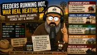 Burnin’ Daylight artwork