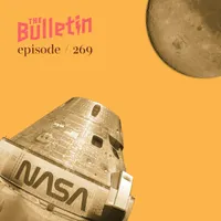 The Bulletin artwork