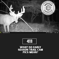Bowhunter Chronicles Podcast artwork