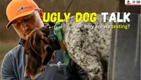 Gun Dog It Yourself artwork