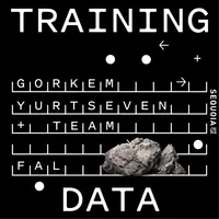 Training Data artwork
