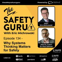 The Safety Guru artwork
