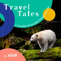 Travel Tales by Afar artwork