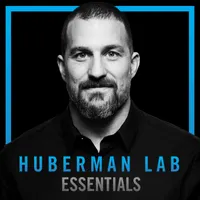 Huberman Lab artwork