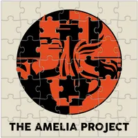 The Amelia Project artwork