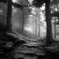 Unexplained Encounters artwork