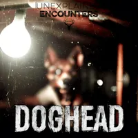 Unexplained Encounters artwork