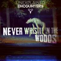 Unexplained Encounters artwork