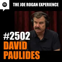 The Joe Rogan Experience artwork
