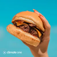 Climate One artwork