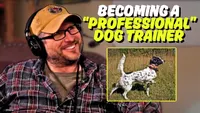Gun Dog It Yourself artwork