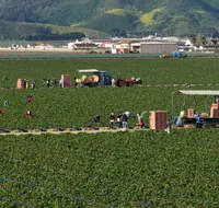 KQED's The California Report artwork