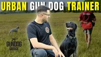 Gun Dog It Yourself artwork