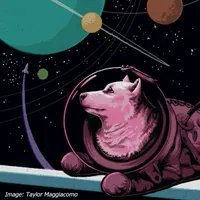Big Picture Science artwork