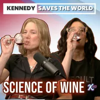 Kennedy Saves the World artwork