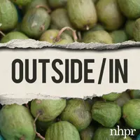 Outside/In artwork