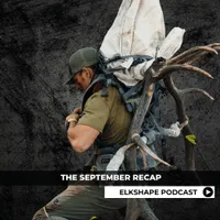 ElkShape artwork