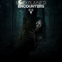 Unexplained Encounters artwork