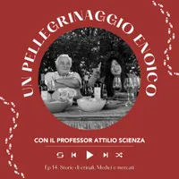 Italian Wine Podcast artwork