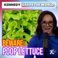 Kennedy Saves the World artwork