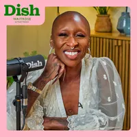 Dish artwork