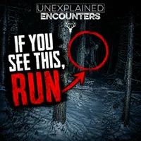 Unexplained Encounters artwork
