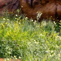 Gardening with the RHS artwork