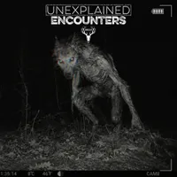 Unexplained Encounters artwork