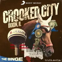 Chameleon: Scam Likely artwork