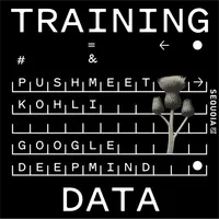 Training Data artwork