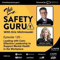 The Safety Guru artwork