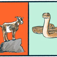 Smash Boom Best: A funny, smart debate show for kids and family artwork