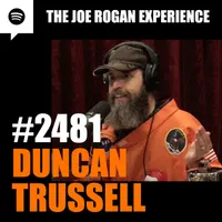 The Joe Rogan Experience artwork