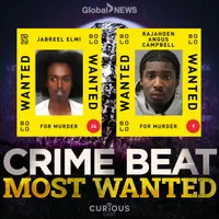 Crime Beat artwork