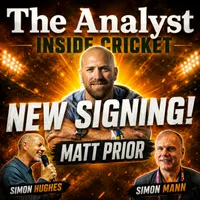 The Analyst Inside Cricket artwork