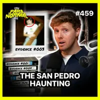 This Paranormal Life artwork