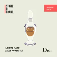 STORIE DI BRAND artwork