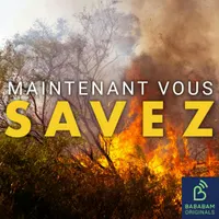 Maintenant, vous savez artwork