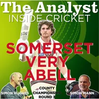 The Analyst Inside Cricket artwork