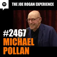 The Joe Rogan Experience artwork